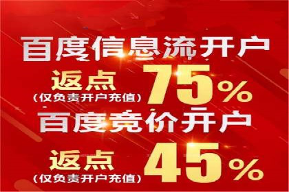 探索百度竞价广告的未来趋势：基于多案例的分析